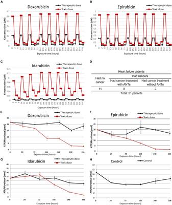 Translational Proteomics Analysis of Anthracycline-Induced Cardiotoxicity From Cardiac Microtissues to Human Heart Biopsies